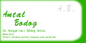antal bodog business card