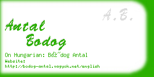 antal bodog business card